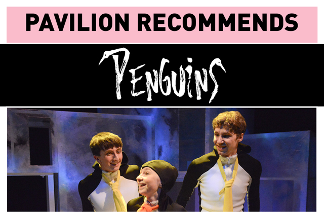 Pavilion Recommends: Penguins
