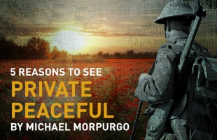 5 Reasons to See Private Peaceful by Michael Morpurgo