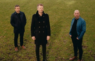 Members of Bell X1 standing in a green field
