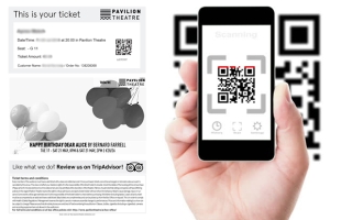 E-tickets: environmentally-friendly entry