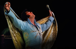 The Elvis Spectacular Show