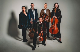 A promotional studio portrait of a five-member traditional Irish music ensemble against a light grey background. In the center, traditional musician Frankie Gavin sits on a chair wearing a dark velvet jacket and holding a fiddle and bow. He is surrounded by four standing musicians: a woman in a short dark velvet dress on the left, a man holding an acoustic guitar, a man holding an accordion, and a woman holding a cello on the right.