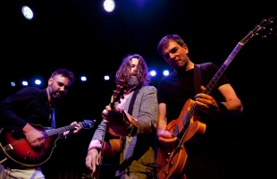 Hothouse Flowers