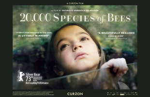 20,000 Species of Bees