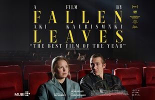 Fallen Leaves
