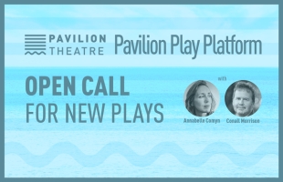 Pavilion Play Platform 2020-2021
