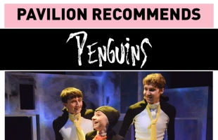 Pavilion Recommends: Penguins