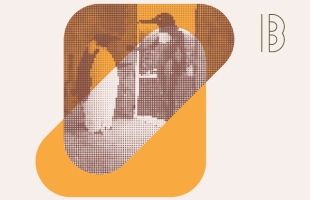Surrealist illustration of a penguin with a Spanish guitar behind it. A penguin with the body of a human stands in a doorway, conversing with the other. There is a rolling green field behind. The illustration is rendered in stylised dots, with an abstract orange shape behind.