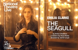 The Seagull