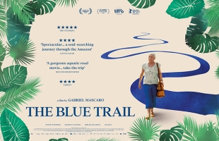 Movie poster for