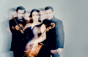 Trio Bohémo are picture together, from left Matouš Pěruška holding fiddle, Kristina Vocetková holding a cello, Jan Vojtek stands they are all wearing black evening attire and the image is blurred in an artistic style