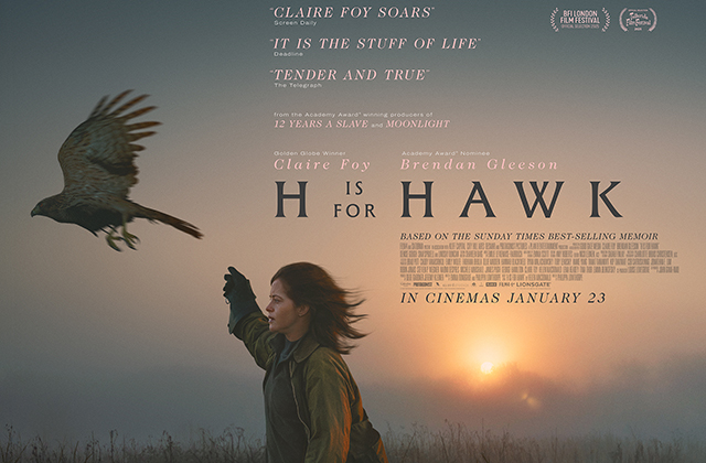 Poster for H is for Hawk. Claire Foy stands with her arm raised in front of a rising sun, while a hawk flies off.