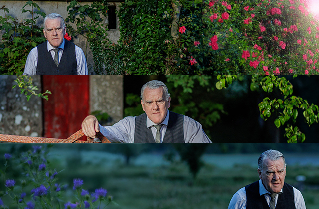 A horizontal triptych of the Mikel Murfi trilogy - The Man in the Woman's Shoes at the top, I Hear You and Rejoice in the middle, and The Mysterious Case of Kitsy Rainey at the bottom
