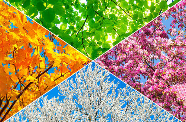 Dancing through the Seasons